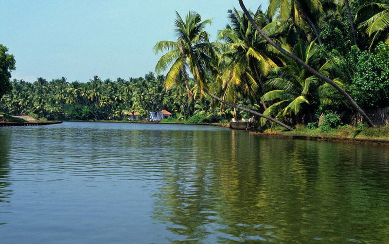 Navigate Kerala’s Backwaters – The Spice Route