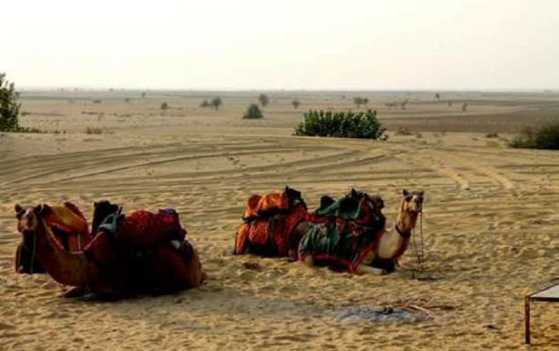 Luxurious Suryagarh in Jaisalmer