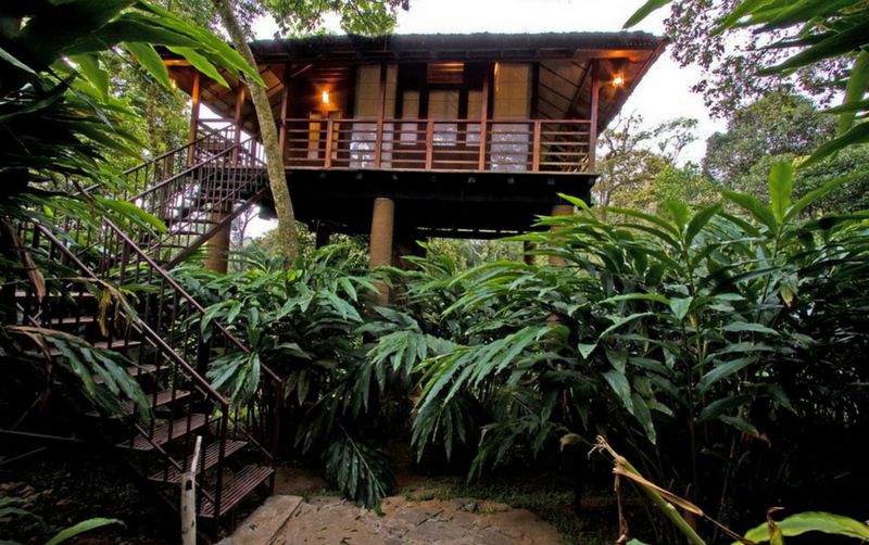 A Hideaway In The Western Ghats